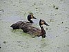 DSCN7439.JPG