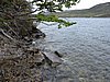 DSCN7578.JPG