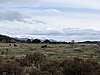 DSCN7743.JPG
