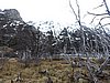 DSCN7839.JPG