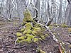 DSCN7856.JPG