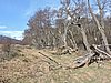 DSCN7861.JPG