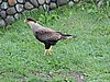 DSCN8039.JPG
