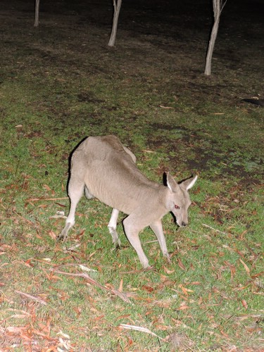 DSCN5026.JPG