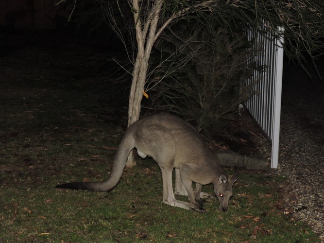 DSCN5030.JPG