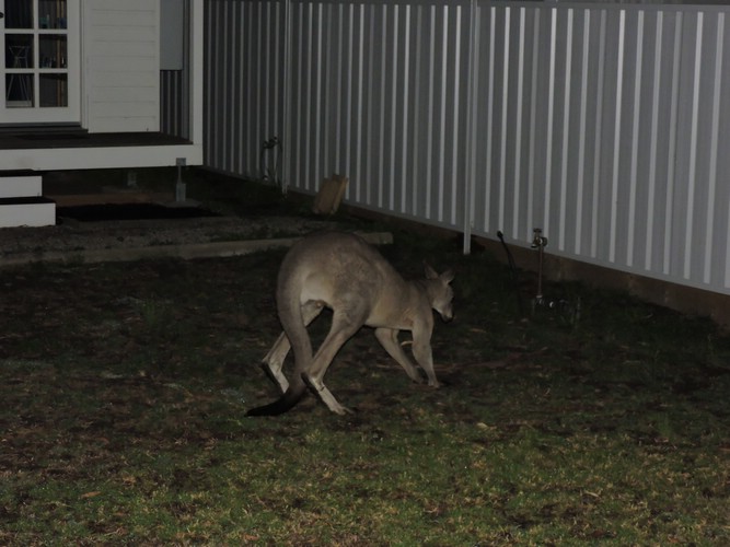 DSCN5034.JPG