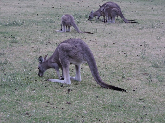 DSCN5043.JPG