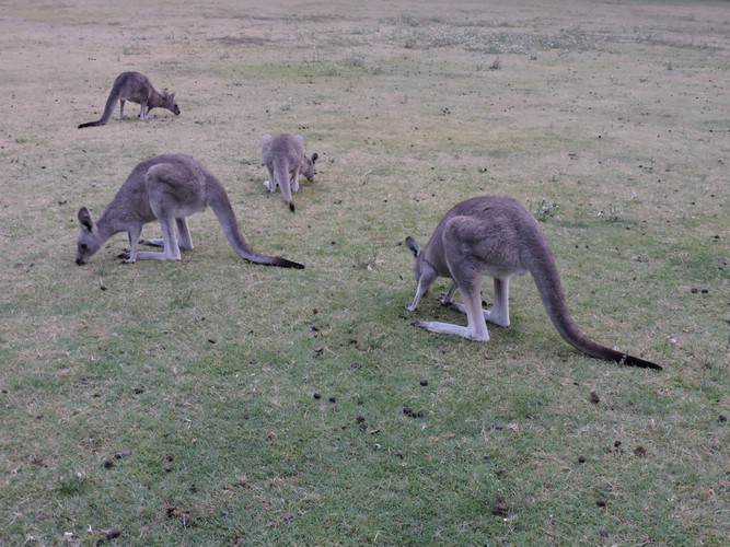 DSCN5049.JPG