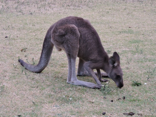 DSCN5053.JPG