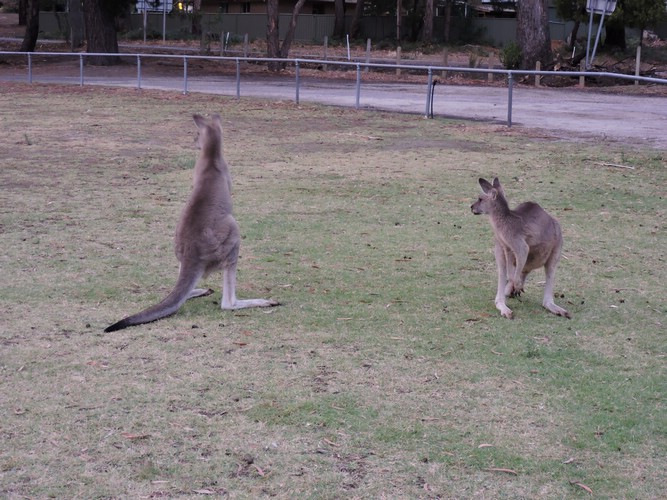DSCN5054.JPG