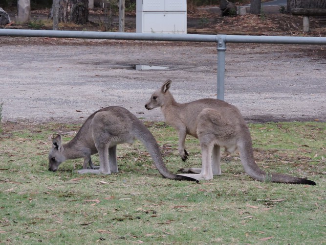 DSCN5055.JPG