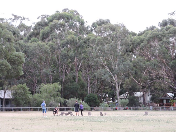 DSCN5058.JPG