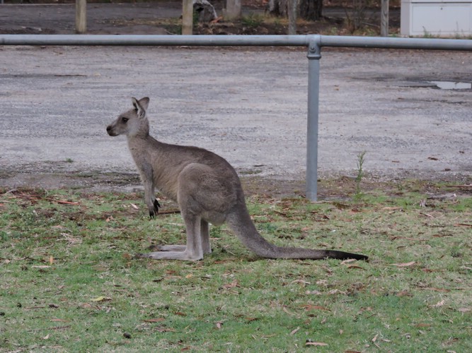 DSCN5059.JPG