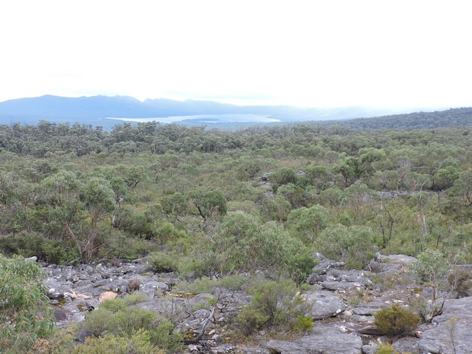 DSCN5096.JPG