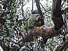 DSCN4967.JPG