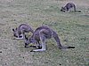 DSCN5047.JPG