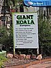 DSCN5134.JPG
