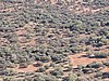 DSCN5664.JPG