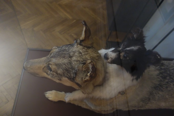 DSC09103.JPG