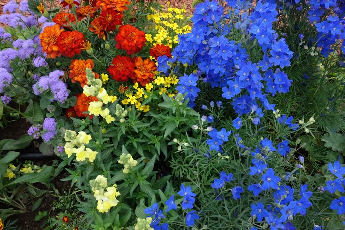 DSC09244.JPG