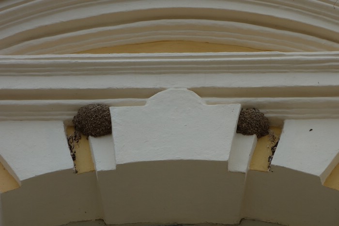 DSC09265.JPG