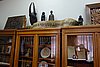 DSC09109.JPG