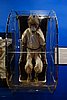 DSC09113.JPG