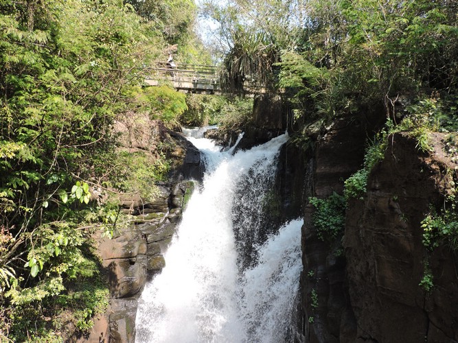 DSCN6555.JPG