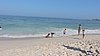 DSCN5960.JPG