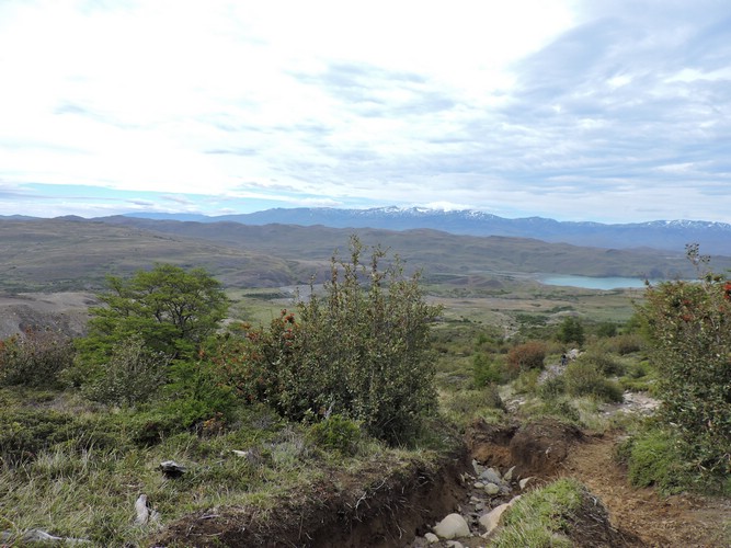 DSCN7926.JPG