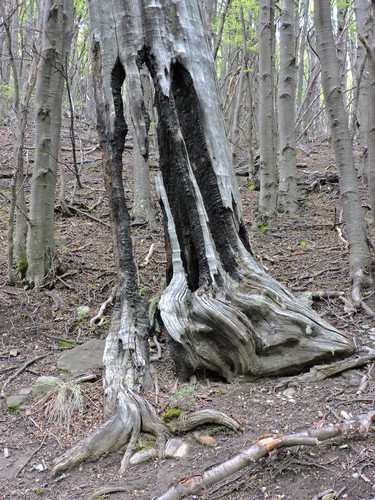 DSCN8009.JPG
