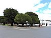 DSCN7877.JPG