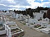 DSCN7889.JPG