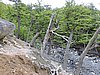 DSCN7943.JPG