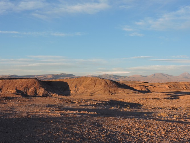 DSCN8446.JPG