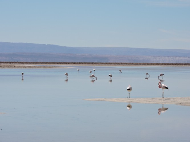 DSCN8520.JPG