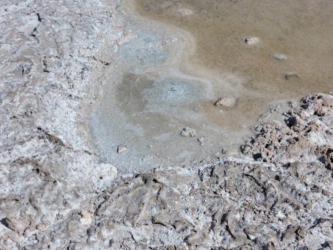 DSCN8565.JPG