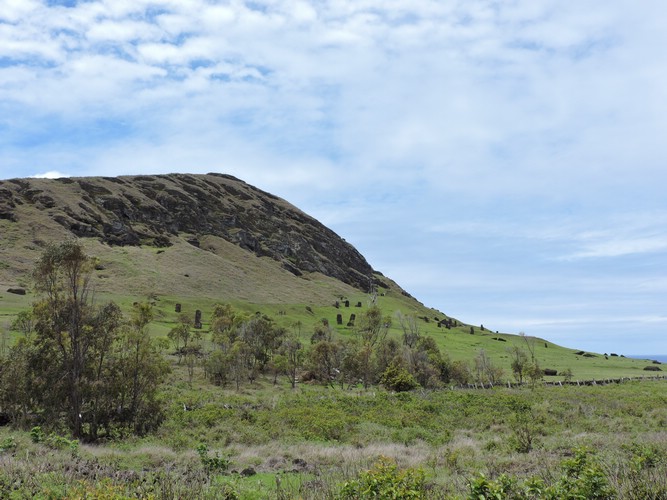 DSCN8941.JPG