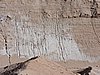 DSCN8403.JPG