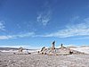 DSCN8415.JPG
