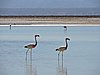 DSCN8522.JPG