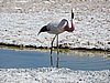 DSCN8542.JPG