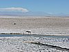 DSCN8545.JPG