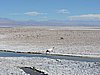 DSCN8546.JPG