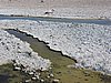 DSCN8547.JPG