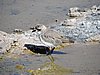 DSCN8551.JPG