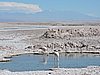 DSCN8557.JPG