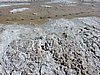 DSCN8559.JPG