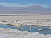 DSCN8562.JPG