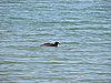 DSCN8625.JPG